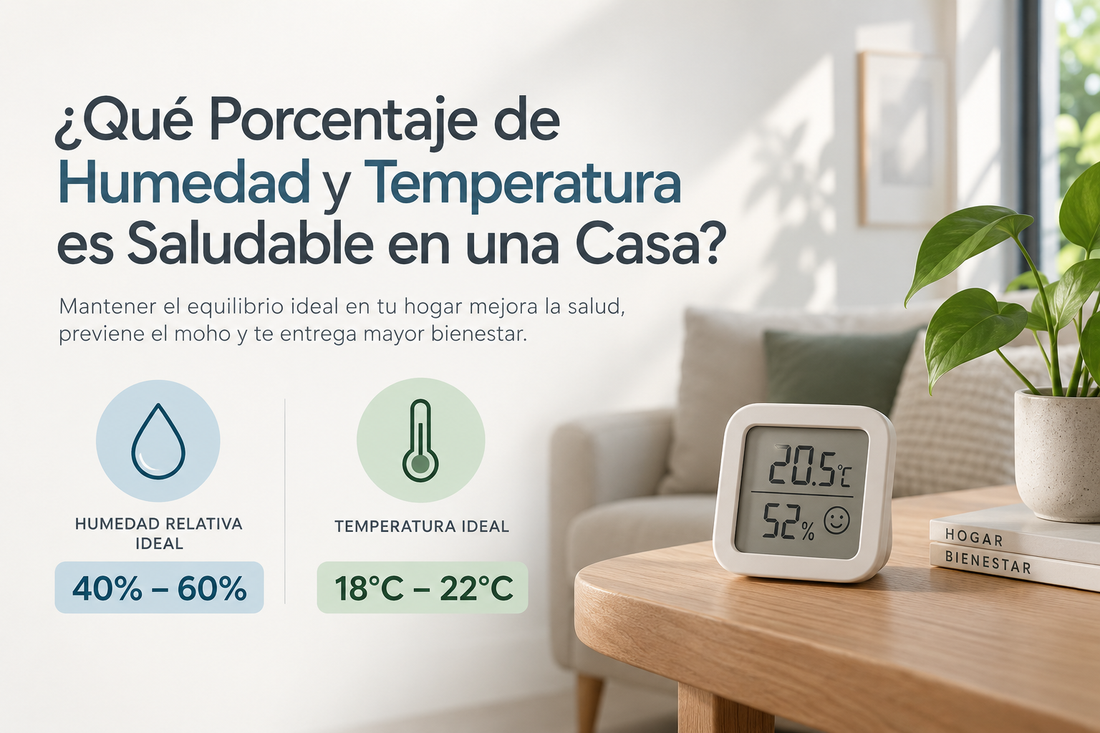 Humedad y Temperatura Ideal en el Hogar: Rangos Saludables | Control Humedad
