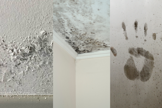Tipos de Humedad en el Hogar: Causas y Diferencias | Control Humedad