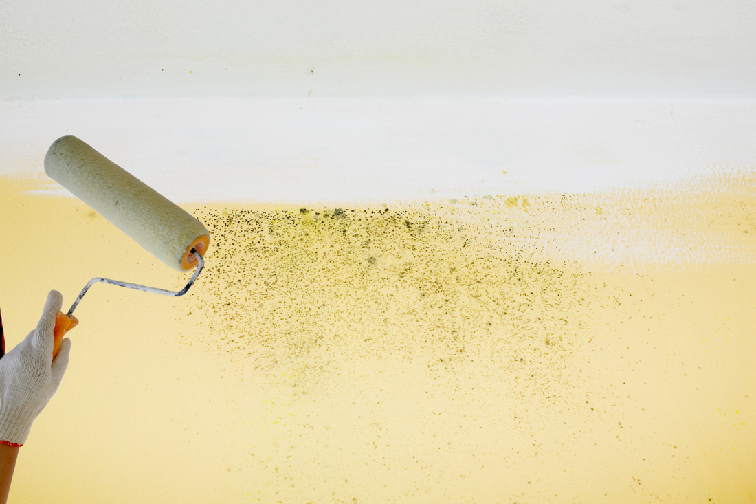 ¿La Pintura Antihongos Funciona? La Verdad | Control Humedad