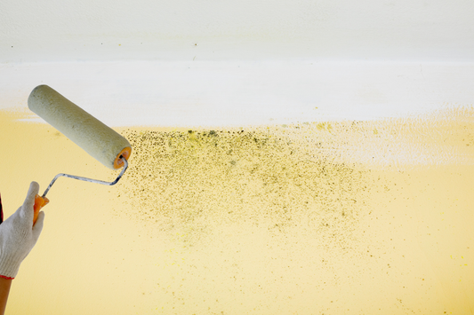 ¿La Pintura Antihongos Funciona? La Verdad | Control Humedad