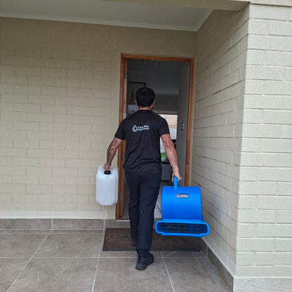 Servicio de Secado profesional