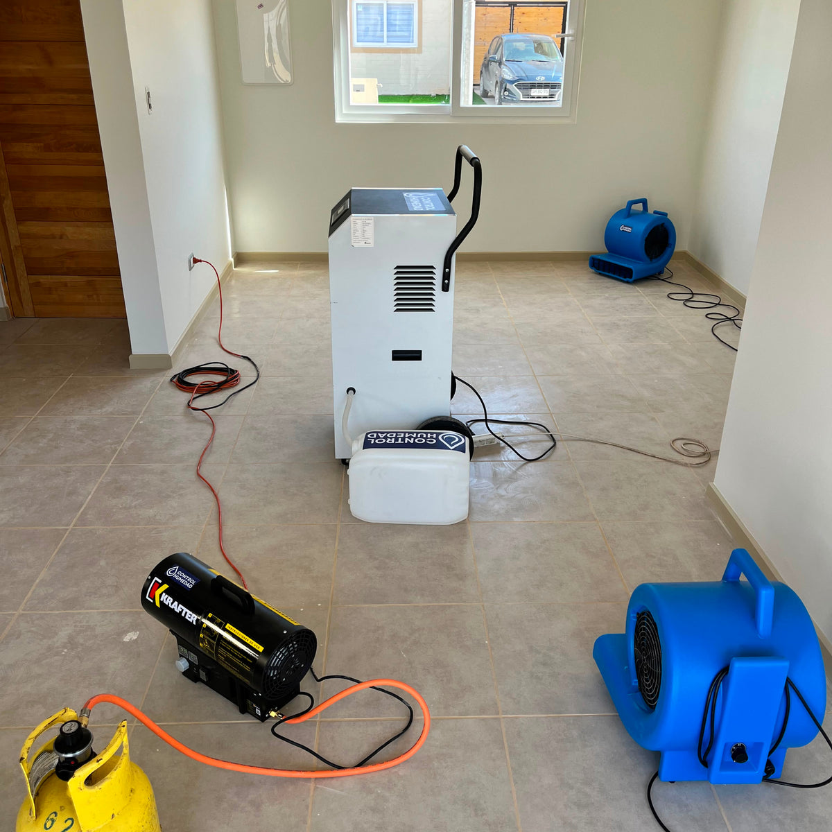 Servicio de Secado profesional